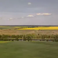20250513_011517_892