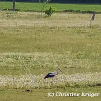 301_IMG_20250510_171820~3