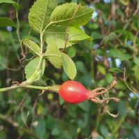 IMG_20250923_161512