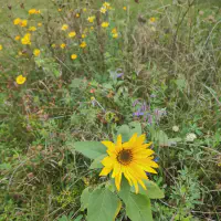 IMG_20251010_122722