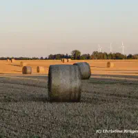 IMG_20250818_200217~2