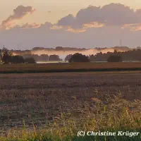 IMG_20250822_061315~2