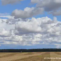 IMG_20250823_153426~3