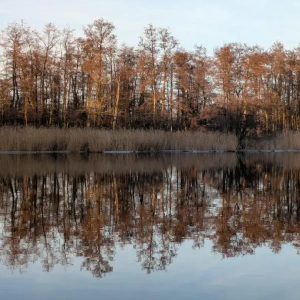 2025-12-25-164813_008