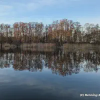 2025-12-25-164813_011