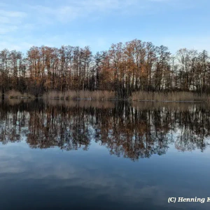 2025-12-25-164813_011