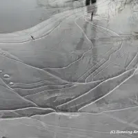 2025-12-25-164813_019