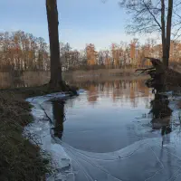 2025-12-25-164813_023