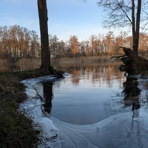 2025-12-25-164813_023