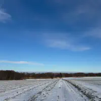 2026-01-10_at_16.45.54