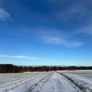 2026-01-10_at_16.45.54