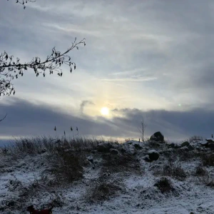 2026-01-10_at_16.46.00