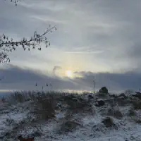 2026-01-10_at_16.46.00