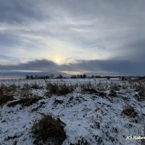 2026-01-10_at_16.46.02