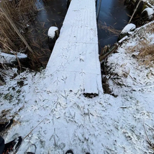 2026-01-10_at_16.46.03_2