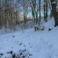 2026-01-10_at_16.46.03