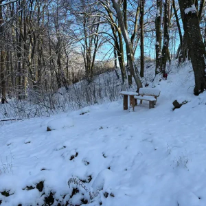 2026-01-10_at_16.46.03