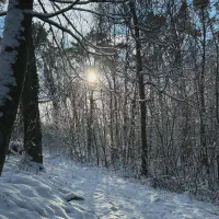 2026-01-10_at_16.46.04_1