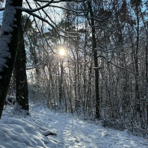 2026-01-10_at_16.46.04_1