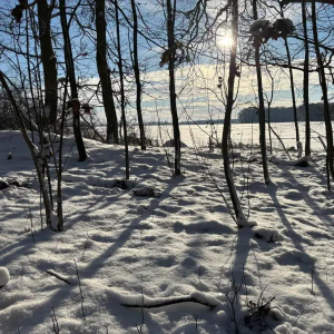 2026-01-10_at_16.46.04_3