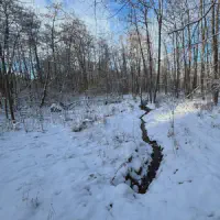 2026-01-10_at_16.46.04