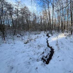 2026-01-10_at_16.46.04