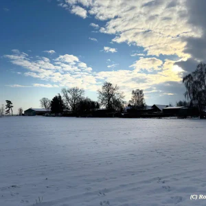 2026-01-10_at_16.46.05_1