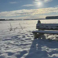 2026-01-10_at_16.46.05_2