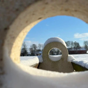 2026-01-10_at_16.46.05_3