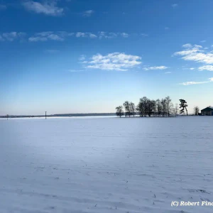 2026-01-10_at_16.46.05