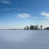 2026-01-10_at_16.46.05