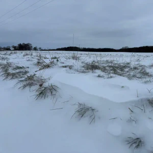 2026-01-10_at_16.46.06_1