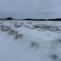 2026-01-10_at_16.46.06_1