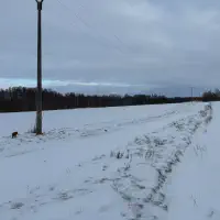 2026-01-10_at_16.46.06_2