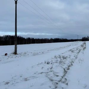 2026-01-10_at_16.46.06_2