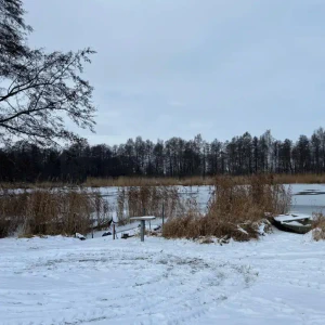 2026-01-10_at_16.46.06_4