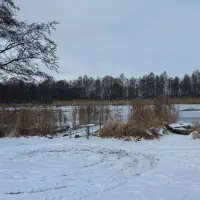 2026-01-10_at_16.46.06_4