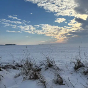 2026-01-10_at_16.46.06