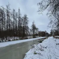 2026-01-10_at_16.46.07_1