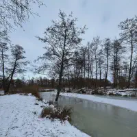 2026-01-10_at_16.46.07_2