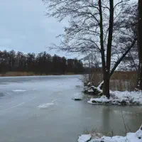 2026-01-10_at_16.46.07_3