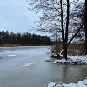 2026-01-10_at_16.46.07_3