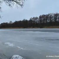 2026-01-10_at_16.46.07_4