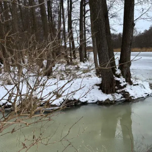 2026-01-10_at_16.46.07_5