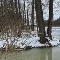 2026-01-10_at_16.46.07_5