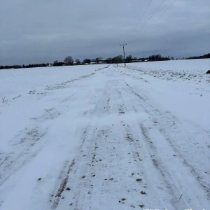 2026-01-10_at_16.46.07