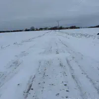 2026-01-10_at_16.46.07