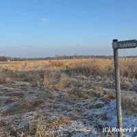 20260122_52843490-6170-4d14-81c1-599623d40396