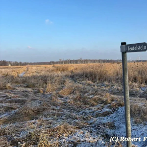 20260122_52843490-6170-4d14-81c1-599623d40396