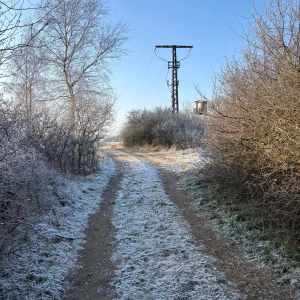 20260122_5f0e2ebe-e3b3-4f9b-835c-e23657465528